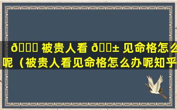 🐞 被贵人看 🐱 见命格怎么办呢（被贵人看见命格怎么办呢知乎）